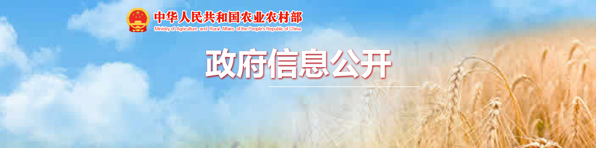 关于印发《“我的家乡我建设”活动实施方案》的通知