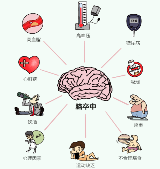 【健康科普】 世界卒中日——卒中识别早，救治效果好