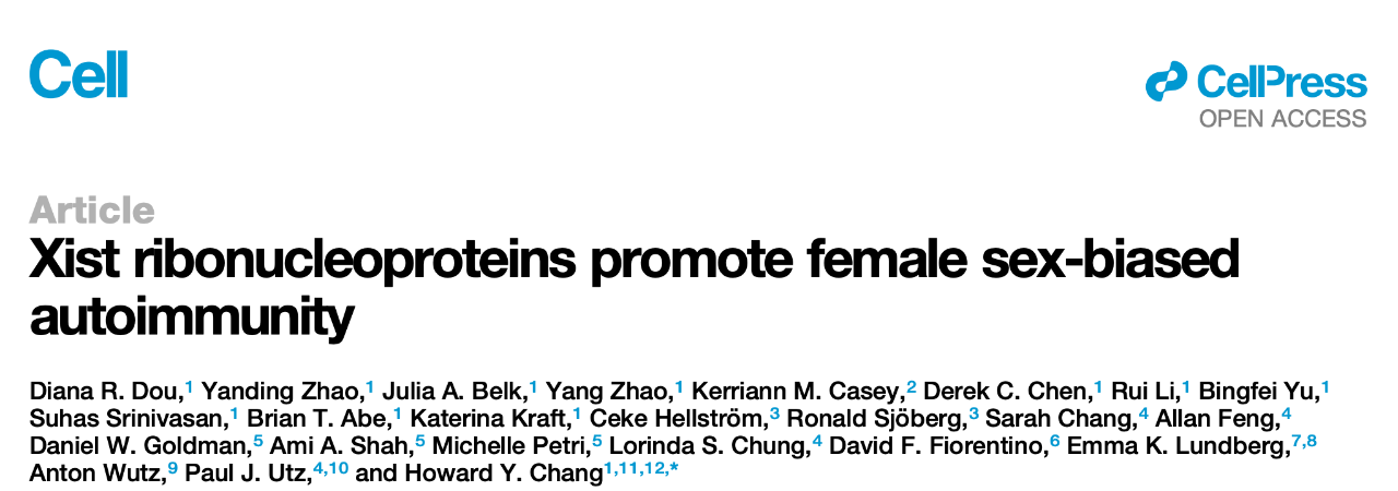 Cell：为何红斑狼疮等自身免疫病总是女性患病？张元豪团队揭示X染色体上的一个非编码RNA是关键