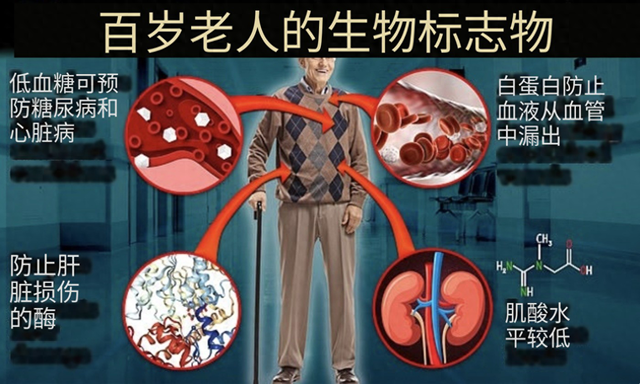 科学家揭示100岁老人血液的不同寻常